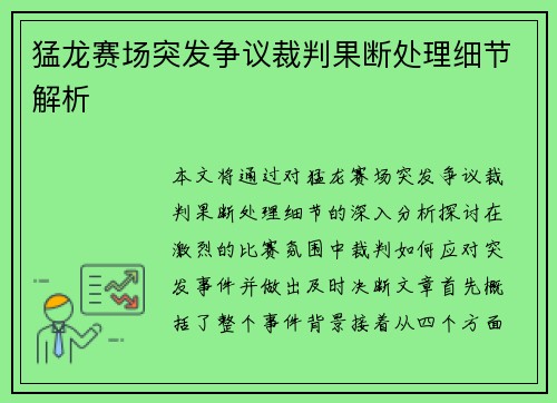猛龙赛场突发争议裁判果断处理细节解析