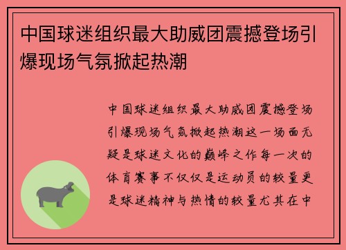 中国球迷组织最大助威团震撼登场引爆现场气氛掀起热潮